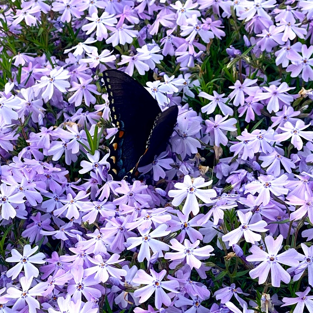 Feel free to make an offer on anything!